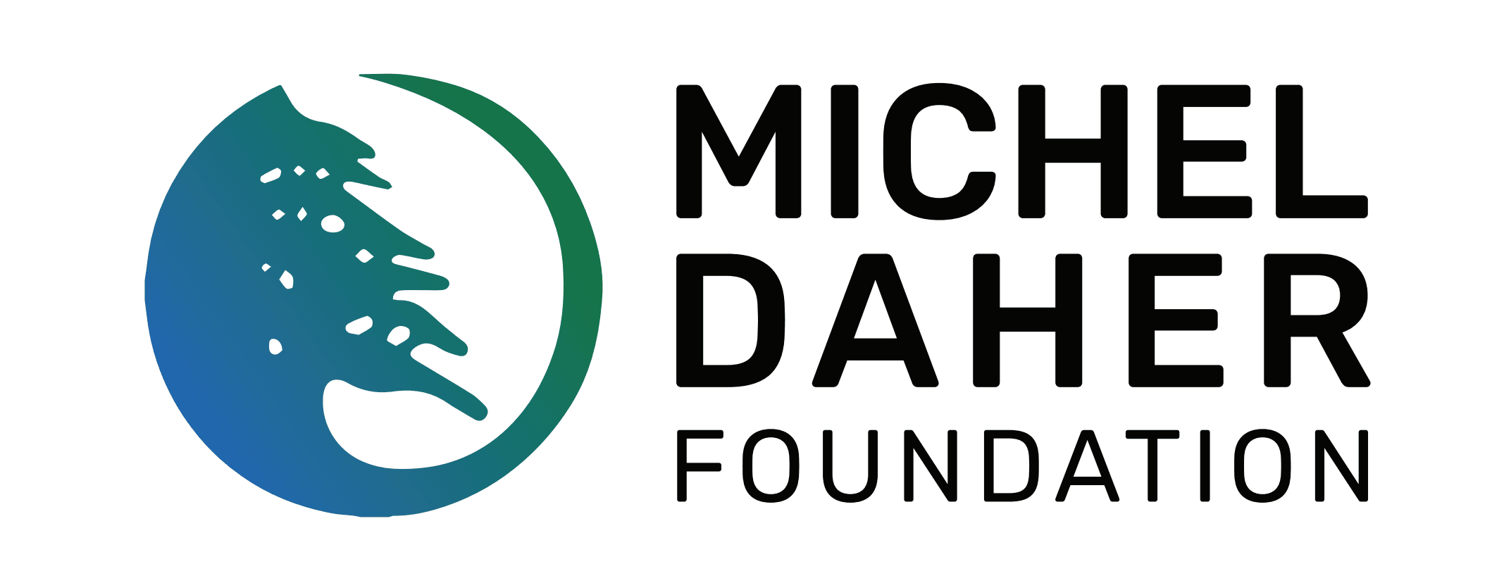 Michel Daher Social Foundation